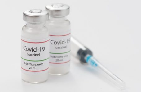 آزمایش موفقیت‌آمیز واکسن کرونا روی میمون‌ها